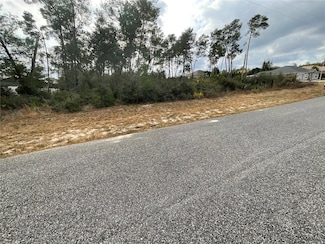 TBD SW 110th Ln, Ocala, FL 34476