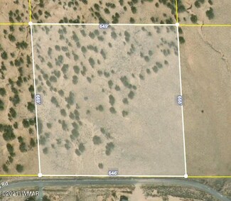 10 Acres Silver Loop Rd, Sanders, AZ 86512