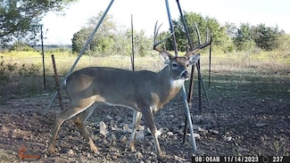 0 Tbd County Road 382, Carlton, TX 76436