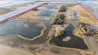 0 County Road 706, Matthews, MO 63867