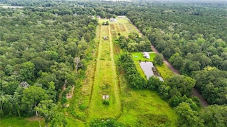 16.25 Acres Lee's Landing Rd, Ponchatoula, LA 70454