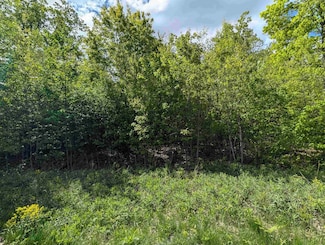 Lot 10 Acorn Ridge Estates Subdivision, Mosinee, WI 54455