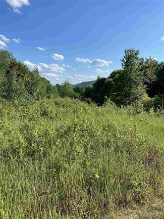 0 Manley Hill Rd Unit 4813921, West Fairlee, VT 05083