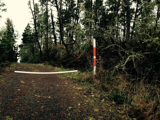 2571 Tokeland Rd, Tokeland, WA 98590