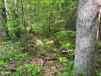 Lot 6b Roan Creek Rd, Butler, TN 37640