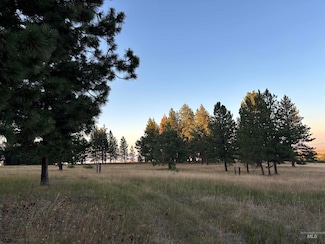 TBD Harlow Ridge Rd - Cloverland Estates 35, Asotin, WA 99402