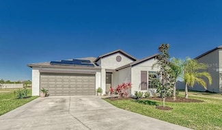 5025 White Chicory Dr, Apollo Beach, FL 33572