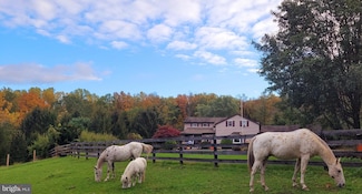 900 Sonny Ln, Richlandtown, PA 18955