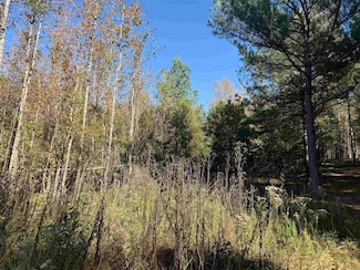 9.57 acres Greene 756 Rd, Paragould, AR 72450