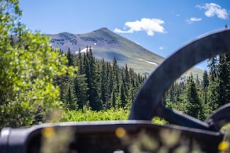 TBD Cr 765n - Tin Cup Mining District, Pitkin, CO 81210