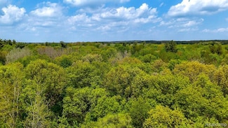 0 Michael St, Brandon Township, MI 48462