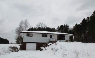 N22695 Antonissen Rd, Niagara, WI 54151