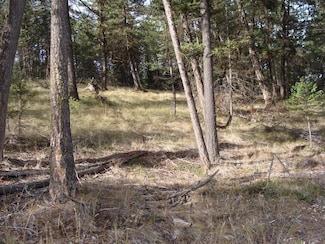 Lot 8 Whispering Pines Subdivision, Fortine, MT 59918