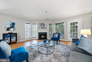 5575 Seminary Rd Unit 113, Falls Church, VA 22041