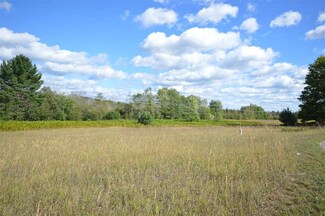 15 E Bettman Trail, Boyne Falls, MI 49712