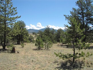 124 Carlsbad Way, Hartsel, CO 80449
