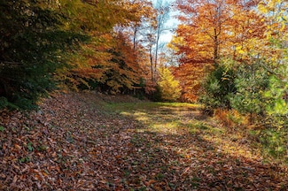 37 Low Rd, Hanover, NH 03755