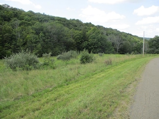 161 Lewis Rd, Southport, NY 14871