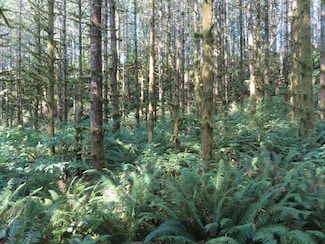 State Highway 4, Grays River, WA 98621