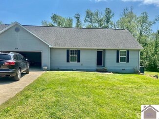 318 Dodson Rd, Mayfield, KY 42066