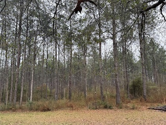 467 County Road 3035, Newton, TX 75966