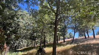 0 Saint Bernard Way, Lake Arrowhead, CA 92352
