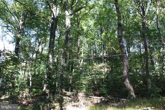 0 Gayle's Ln Unit 1003289719, Front Royal, VA 22630