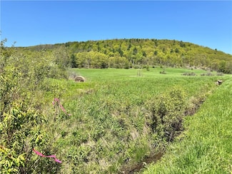 463 Cemetery Rd, Seward, NY 12043