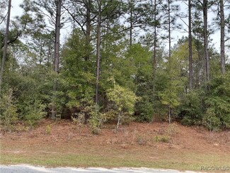 11299 N Bunny Terrace, Citrus Springs, FL 34434