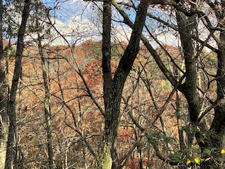 LT24 Mission Ridge Dr, Hayesville, NC 28904