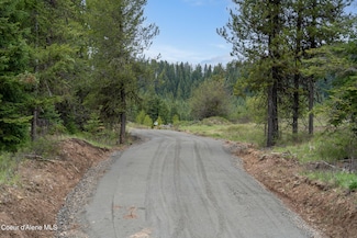 1175 Sheep Creek Parcel E, Santa, ID 83866