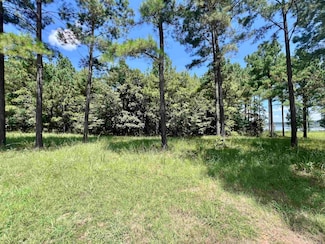 Lot 3 Eagle Brook Dr, Lewisville, AR 71845