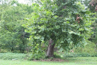 Lot B-1 Pinkie Ln, Laurie, MO 65037