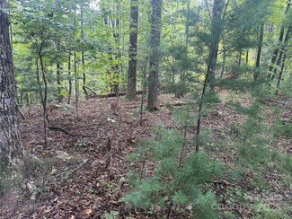 TBD Forest Country Dr Unit 66, Marion, NC 28752