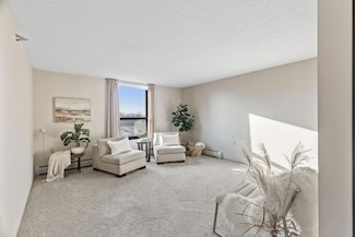 6615 Lake Shore Dr S Unit 515, Richfield, MN 55423