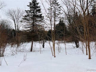 2194 Grover Rd, West Falls, NY 14170
