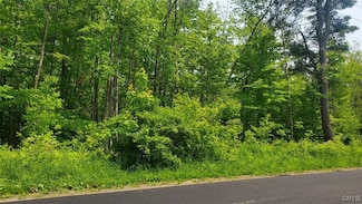 00 Kiwanis Rd, Taberg, NY 13440