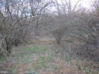 0 Whites Run, Brandywine, WV 26802