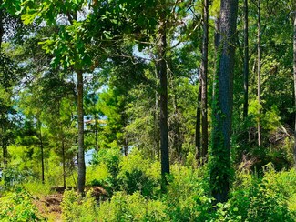 117 Old Tejas Trail W, Hemphill, TX 75948