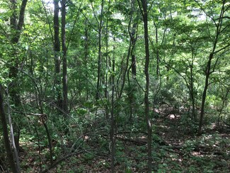 51 Falcon Ln, Center Township, MO 64856