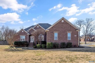 230 Steel Horse Dr, Madison, AL 35757