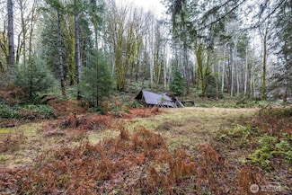 131 NE Yew Tree Ln, Tahuya, WA 98588