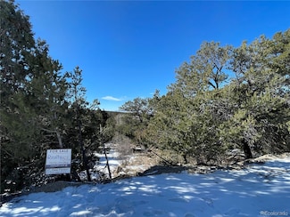 238 Lake of the Falls Pkwy, Mosca, CO 81146