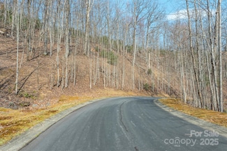 0 Shining Rock Path Unit 11, Horse Shoe, NC 28742