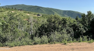 218 W Bear Tooth Ridge, Wanship, UT 84017