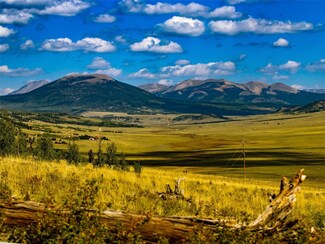 2490 Redhill Rd, Fairplay, CO 80440