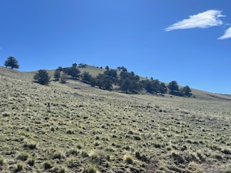 110 Watonga Rd Unit 4251, Guffey, CO 80820