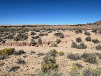 Tbd Longo Ln, Saint Johns, AZ 85936