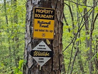 22.39 AC Johnson Creek Rd, Murphy, NC 28906