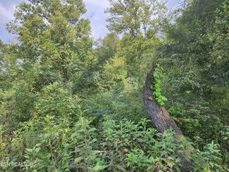 25.2 Acres Spring City Hwy, Rockwood, TN 37854